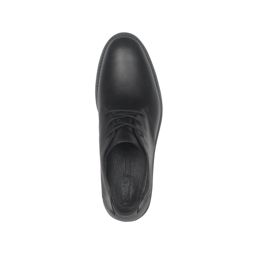 Men\'s Timberland® Earthkeepers® Kempton Chukka Shoes  Black Smooth